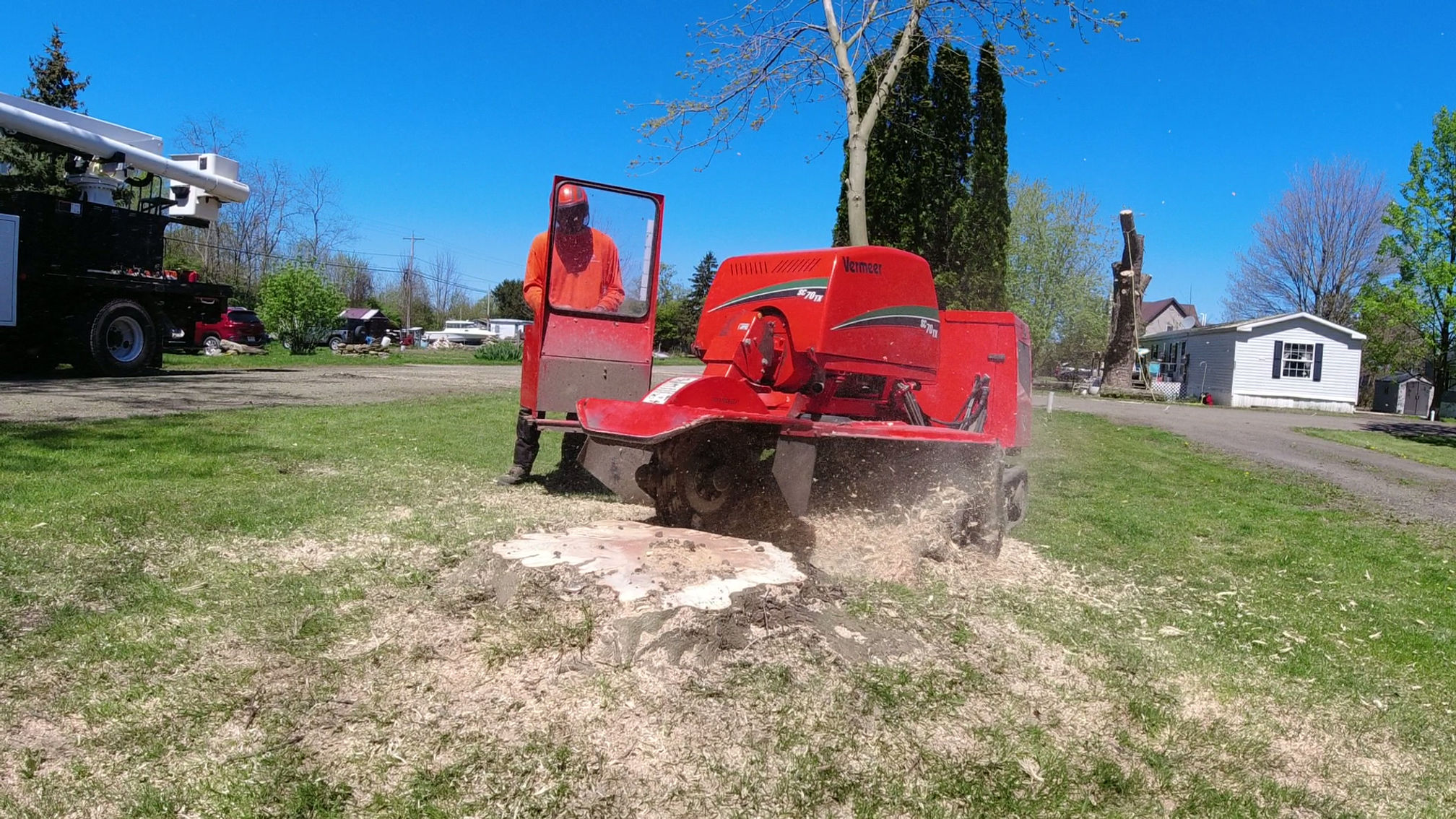 Stump grinding